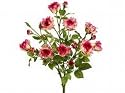 Allstate FBR839-BT-CR 21 in. Suzi ft.s Rose Bush Beauty-Cream- Case of 12