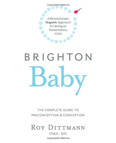 brighton baby a revolutionary organic approach to having an extraordinary child