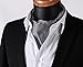 SetSense Men's Plaid Houndstooth Jacquard Woven Self Cravat Tie Ascot