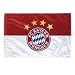 Flagge Fahne FC Bayern M�nchen Logo 100x150 cm
