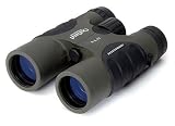 Electronics : Celestron Outland 8X42 Binoculars
