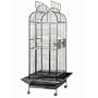 Scalloped Play Top Cage