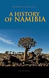 Environmental infrastructure in African history : examining the myth of natural resource management in Namibia