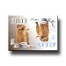 Norfolk Terrier Dishwasher Magnet