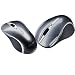 BX700 Grey Wrls Mouse