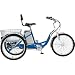 Currie Technologies eZip 3-Wheel Tricruiser, Model# EZ-TRY-SE Currie Technologies eZip 3-Wheel Tricruiser, Model# EZ-TRY-SE