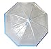 Blue Trim Clear Umbrella, Clear Bubble Umbrella, Dome Umbrella