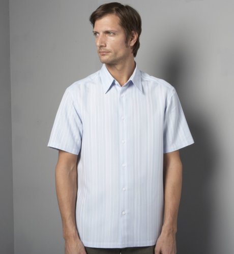 Big & Tall Autograph Dobby Stripe Short Sleeve Shirt
