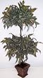30" Double Ball Ruscus Topiary Plant (fall)
