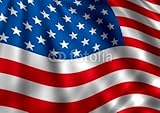 Wallmonkeys Peel and Stick Wall Decals - American Flag - 18