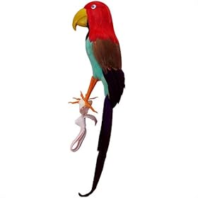  Pirate Parrot
