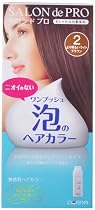 ワンプッシュ泡ヘアカラー 2  40g+40g