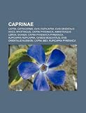 Caprinae: Capra, Capricornis, Ovis, Rupi: Capra, Capricornis, Ovis, Rupicapra, Ovis orientalis aries, Myotragus, Capra pyrenaica, Ammotragus lervia, ... musimon, Capra ibex, Rupicapra pyrenaica