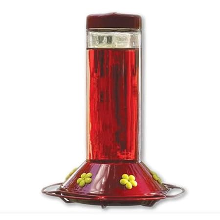 Perky Pet Hummingbird Glass Best Bird Feeder, Price: $15.60