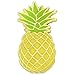 Enamel Pineapple Pin