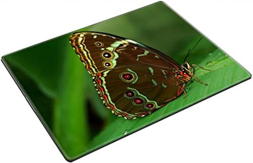 Butterfly on Leaf Hobbit Living Placemat Pad - Can Customize with Your Photo