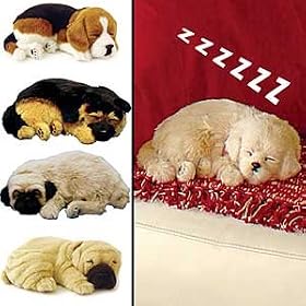 Life Like Puppies