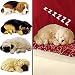 LIFE LIKE PUPPIES