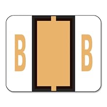 Smead Color-Coded Alphabetic Label, B Roll, Light Orange, 1 Roll (67072)