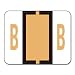 Smead Color-Coded Alphabetic Label, B Roll, Light Orange, 1 Roll (67072)