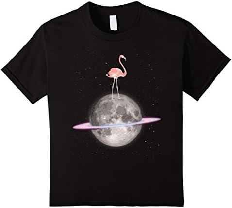Kids Quirky Space Flamingo T-Shirt - Mens Womens Kids 6 Black