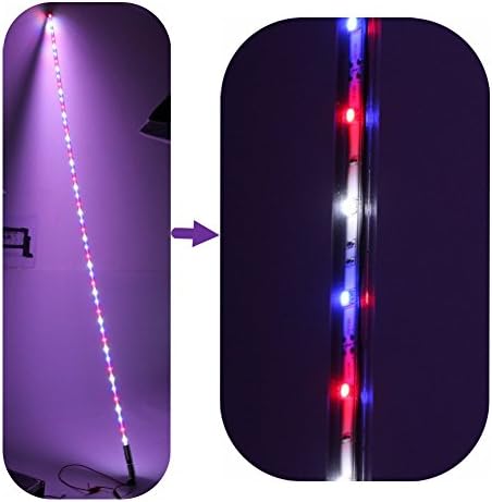 Miadisplay 5ft Led Whip Lights for Atvs Utvs Truck Red White Bule Combo LED XTREME Whip Lights Led Whip Antenna off road Sand Dunes buggy &amp; Safety Flag ( 5FT, Red + White + Bule )