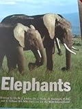 Elephants