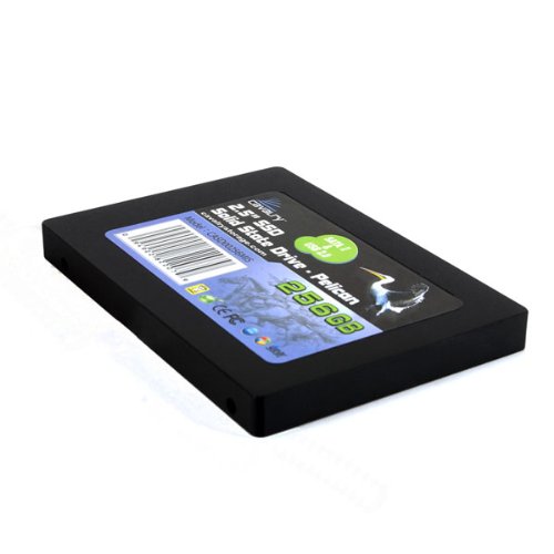 Cavalry Storage 256 GB Pelican Series 2.5-Inch USB/SATA II Internal and External Solid State Drive (SSD) CASD00256MIS On Sale