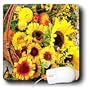 Flowers - Sun Flower flowers - Mouse Pads
