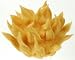 Cosplay Costume Wig Dragon Ball Z Goku Japan Ninja Anime Hair Golden