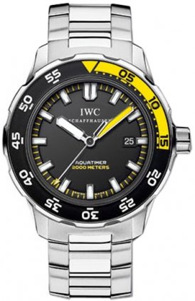 review IWC 
