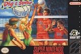 Dig & Spike Volleyball SN