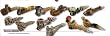 Tobacco Pipes Assorted Set of 12