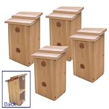 4 Bird Hotel