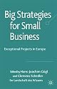 Big Strategies for Small Business: Exceptional Projects in Europe