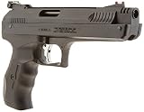 UPC 026785020040 product image for Beeman Sportsman Series Deluxe Air Pistol - Model 2004 | upcitemdb.com