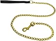 Platinum Pets 4mm Coated Chain Dog Leash with Leather Handle, 24 Karat Gold
