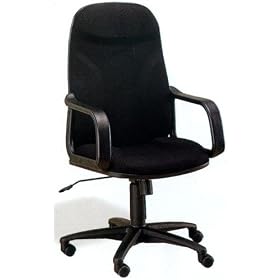High Back Executive Office Desk Chair with Gas Lift and Black Fabric Swivel Seat by D�cor Best