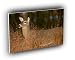 deer white tailed michigan A2 Large Canvas