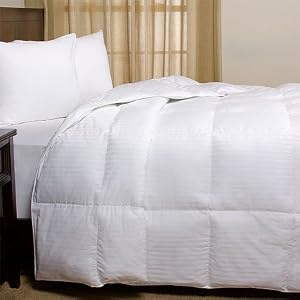Joseph Abboud 300TC European White Down Comforter, Full Queen by 