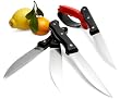 Strathwood 5-Piece Full Tang Steak Knife Set with Professional Sharpener