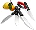 Strathwood 5-Piece Full Tang Steak Knife Set with Professional Sharpener