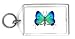 Keychain with green, insect, blue, antennae, butterfly