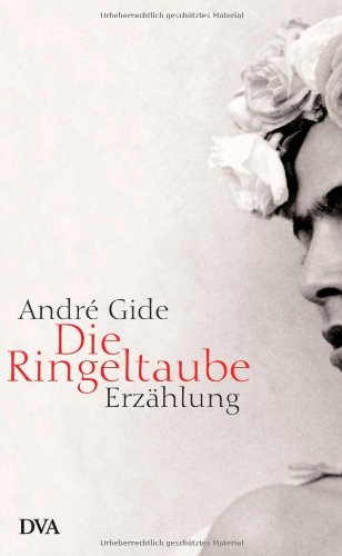 Die Ringeltaube