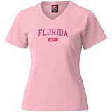 Nike Florida Gators Pink Ladies Classic Logo T-shrit