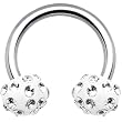 Clear Ferido Crystal Horseshoe Circular Barbell