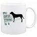 New  My Best Friend Is A Greater Swiss Mountain Dog  Mug Dog