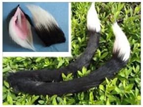 Hundred Ichi Cosplay set tail and ear Touhou Project Nekomata monkey costume (japan import)