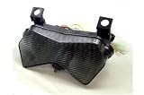 2003-2005 Kawasaki ZX6R ZX6RR 636 Z750S Z1000 LED TailLights Brake Tail Lights with Integrated Turn Signals Indicators Smoke Motorcycle