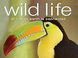 Wild Life: The Old World Connection